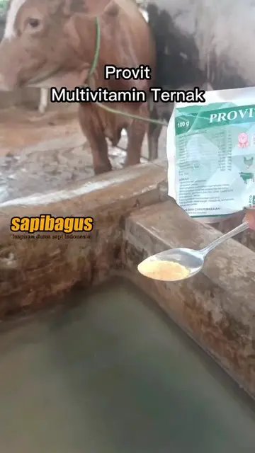 Provit-Multivitamin-Ternak